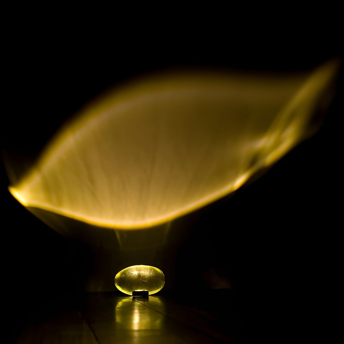 Oval Shaped Table Lamp with Cozy Ambient Lighting